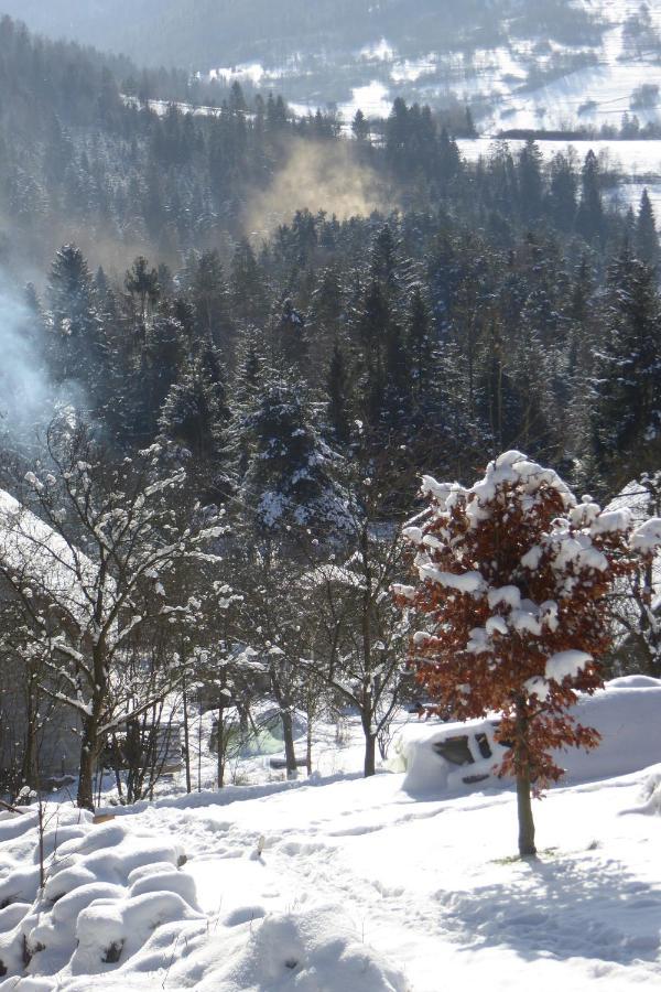Domki Z Prywatna Sauna- Na Szlaku Milówka Exteriör bild