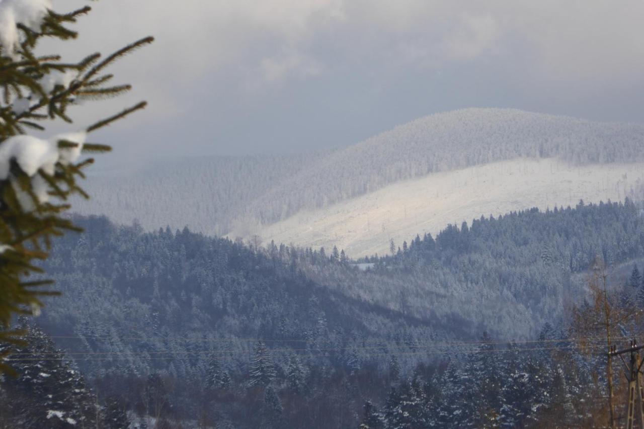 Domki Z Prywatna Sauna- Na Szlaku Milówka Exteriör bild