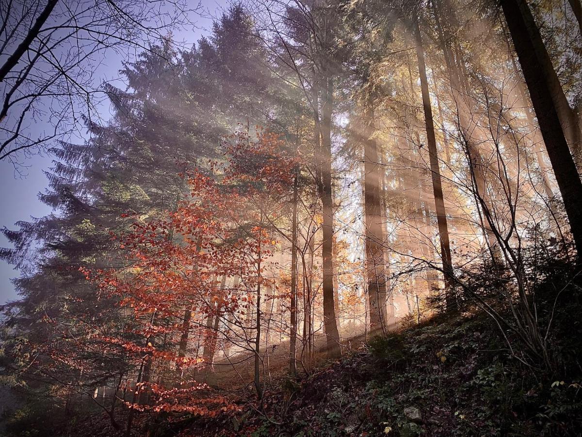 Domki Z Prywatna Sauna- Na Szlaku Milówka Exteriör bild