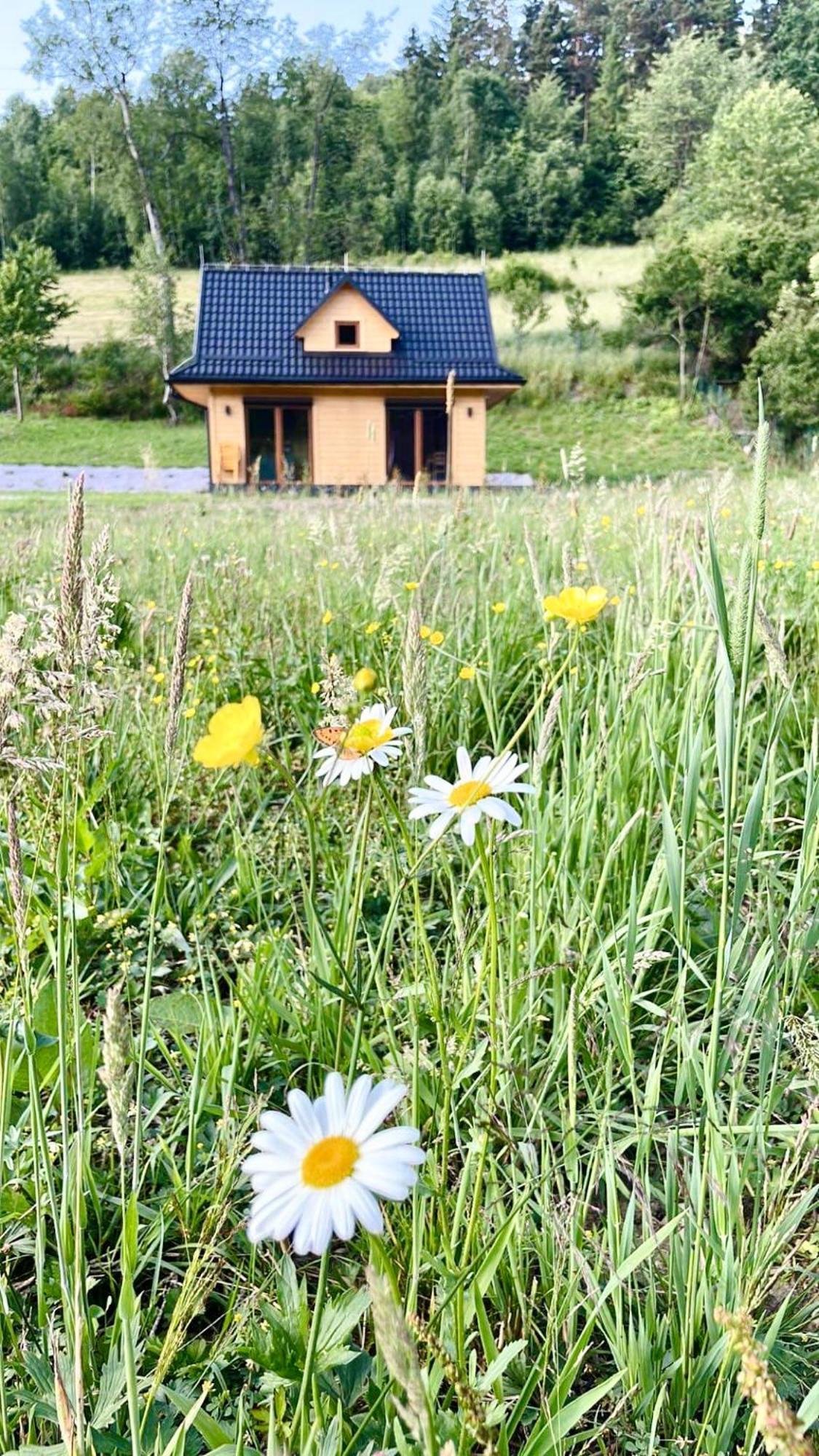 Domki Z Prywatna Sauna- Na Szlaku Milówka Exteriör bild